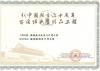 2009新中国成立六十百项经典精品工程证书